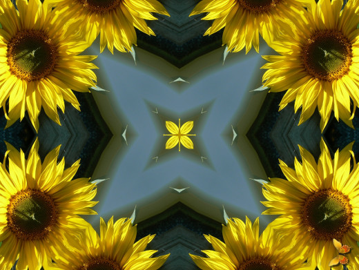 531465 (a): :2066x1550